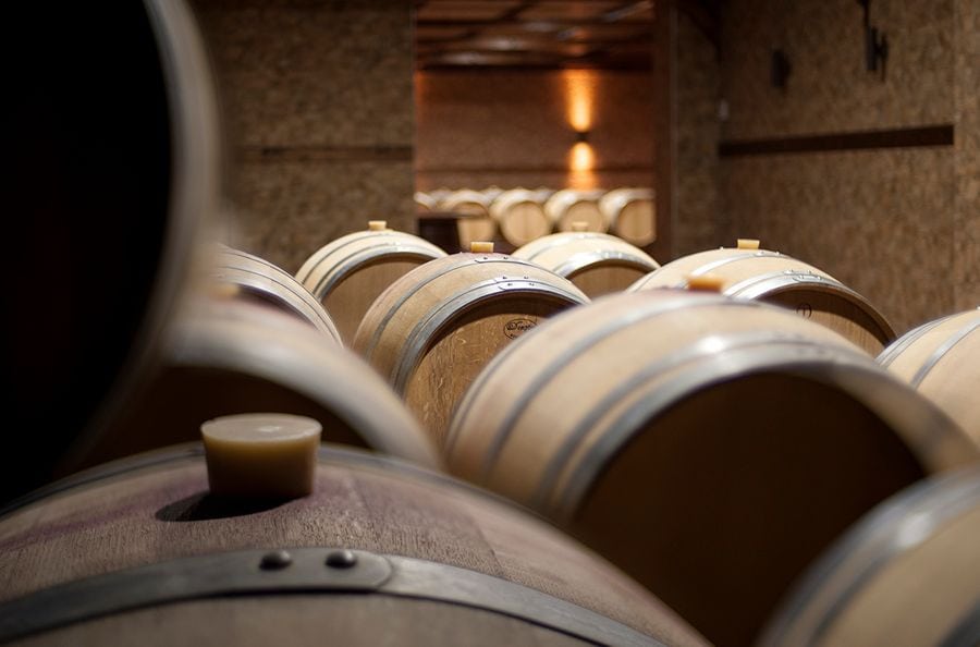 xjXt9Y3O_FOT_8686 b.JPG